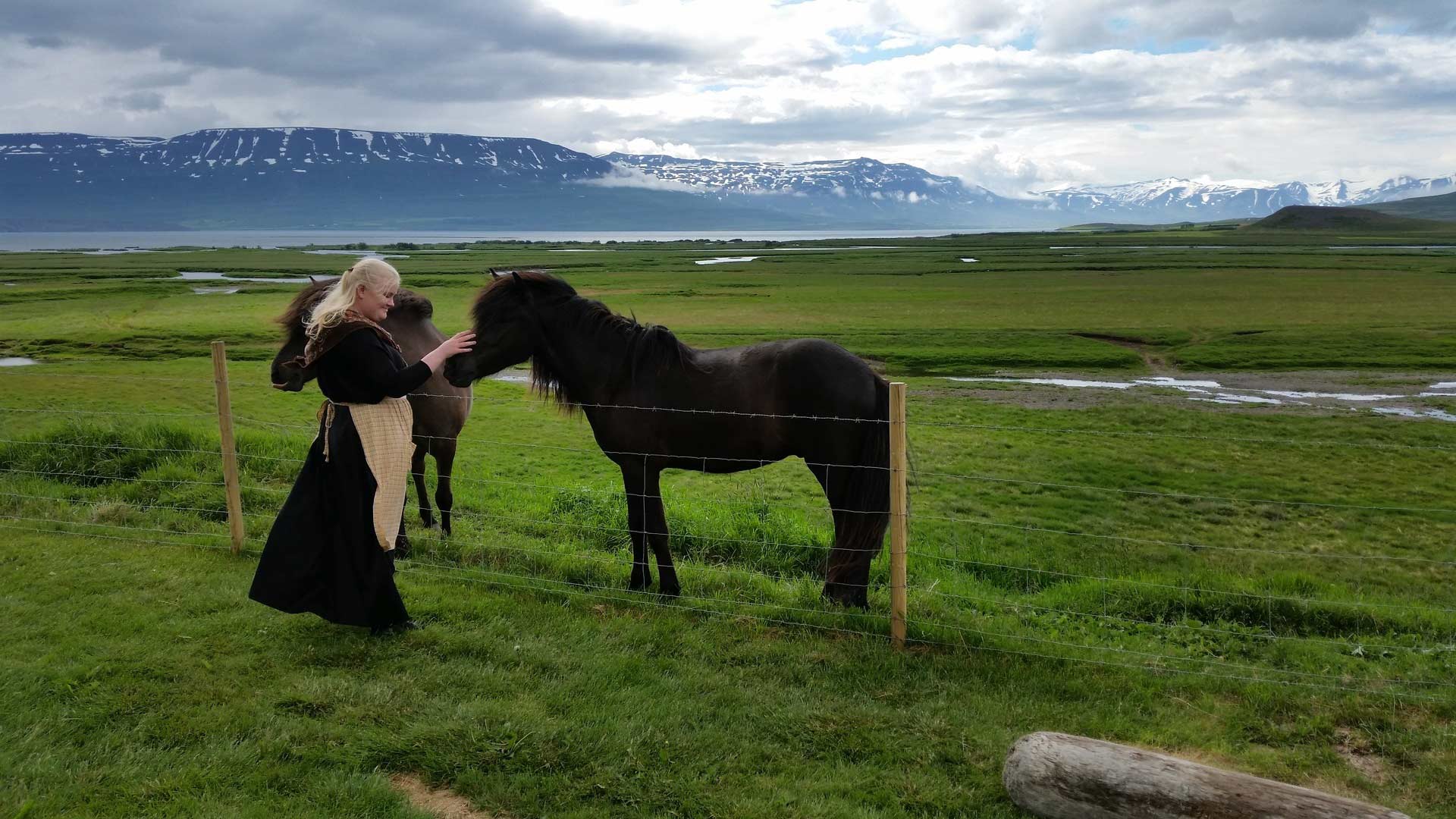 27 juin : de Myvatn à Akureyri